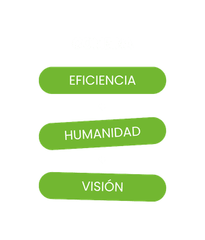 itinerario liderazgo ia
